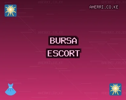 Bursa Escort: Osmangazi Escort, Yenişehir Escort, Orhangazi Escort